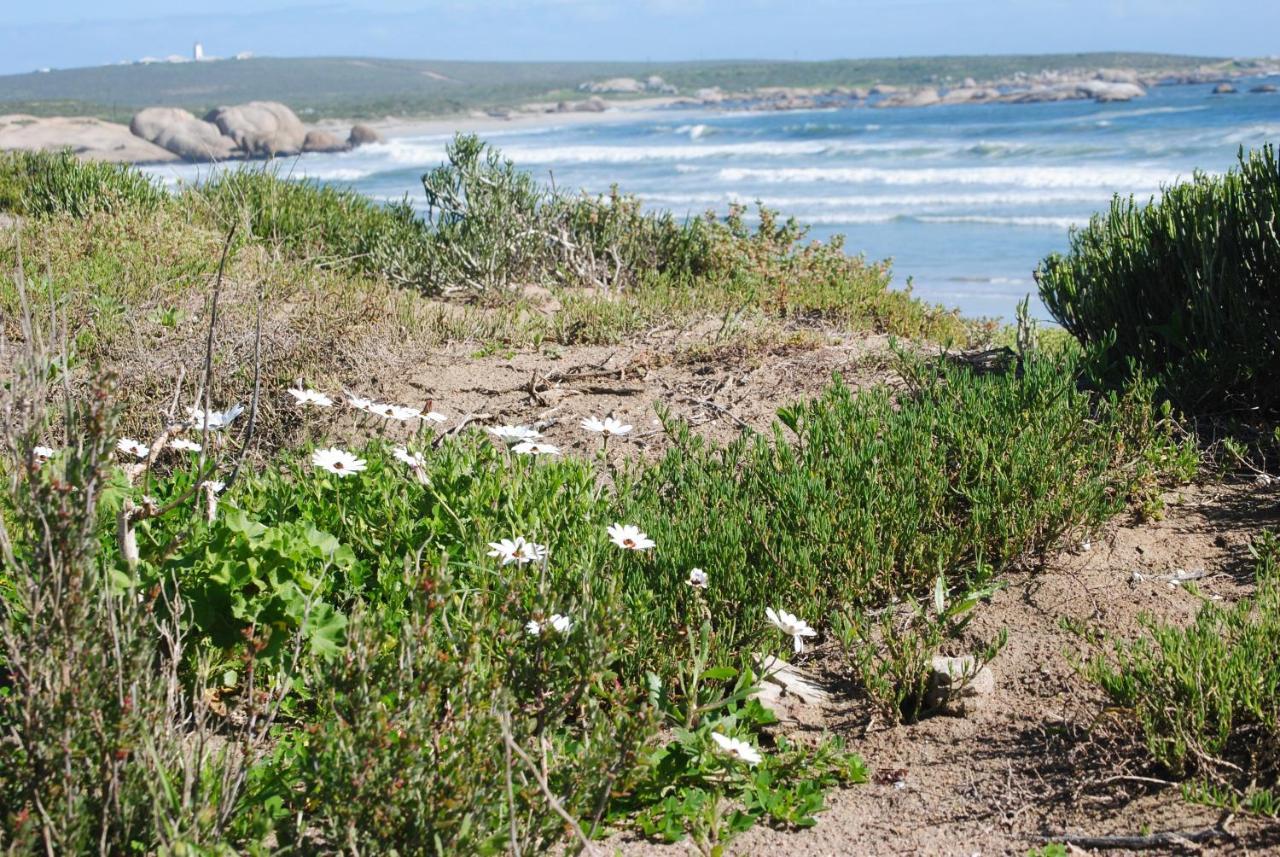 Stay At Bokkoms In Paternoster Self Catering Accommodation Ngoại thất bức ảnh